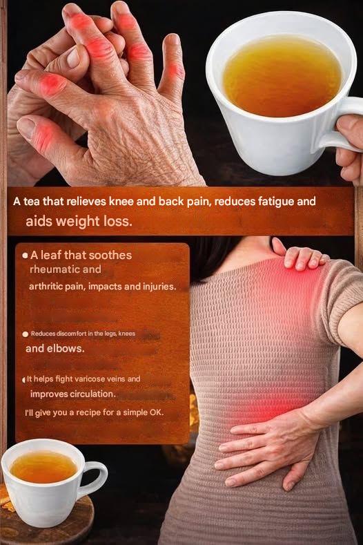 340860aa f276 4eba ae3c 40ba6313adcb