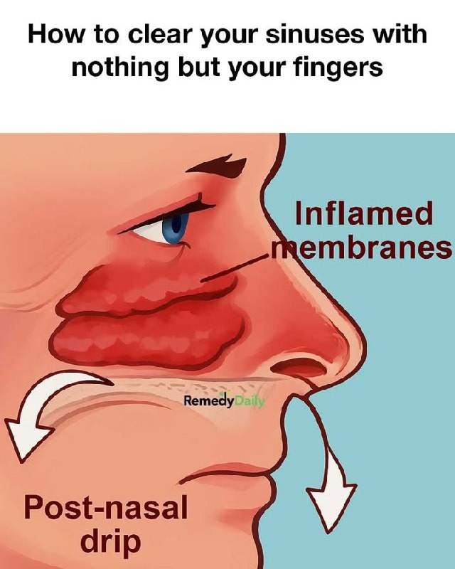 424579890 289046134191418 6334192277646459700 n