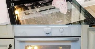 451134024 337158592790437 7389107008385769524 n