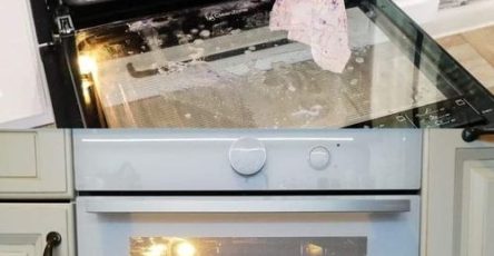 451134024 337158592790437 7389107008385769524 n