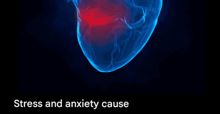 470194348 10171027112880144 3850854263750847983 n