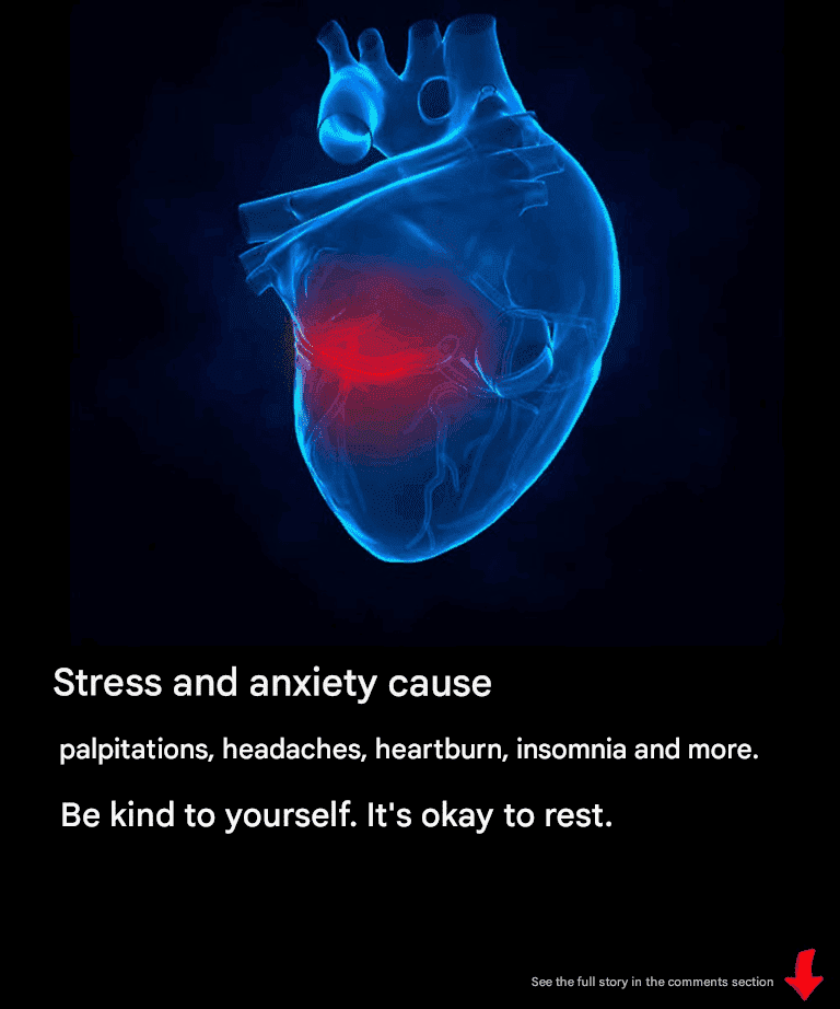 470194348 10171027112880144 3850854263750847983 n