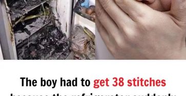 481103517 122151251894373864 4562395139133109816 n