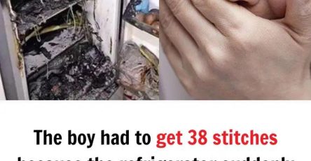 481103517 122151251894373864 4562395139133109816 n