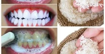 487346366 1088080543362075 6324987966358577820 n (1)