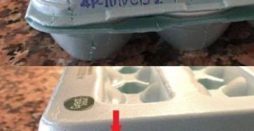 492425023 1094809272678101 620180996564835721 n