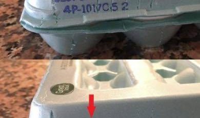 492425023 1094809272678101 620180996564835721 n