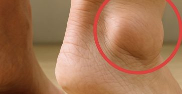 497877827 1253950479456982 4175797540124670797 n