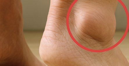 497877827 1253950479456982 4175797540124670797 n