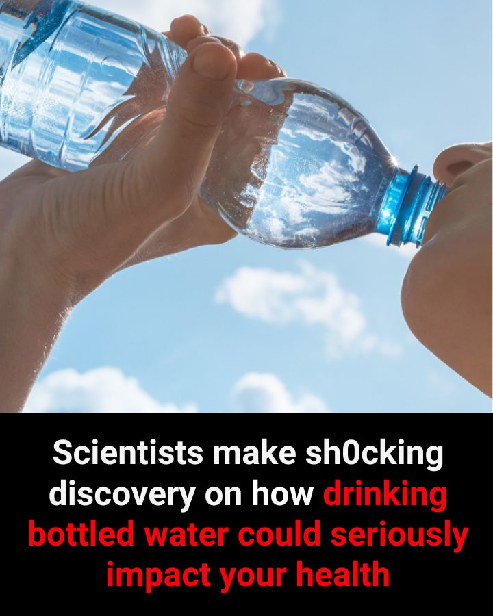 502713208 1262622162099044 6283442649975071208 n