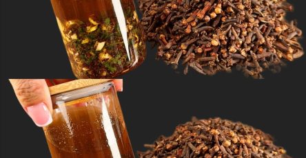 505752302 122173063376472967 7706956305783540536 n