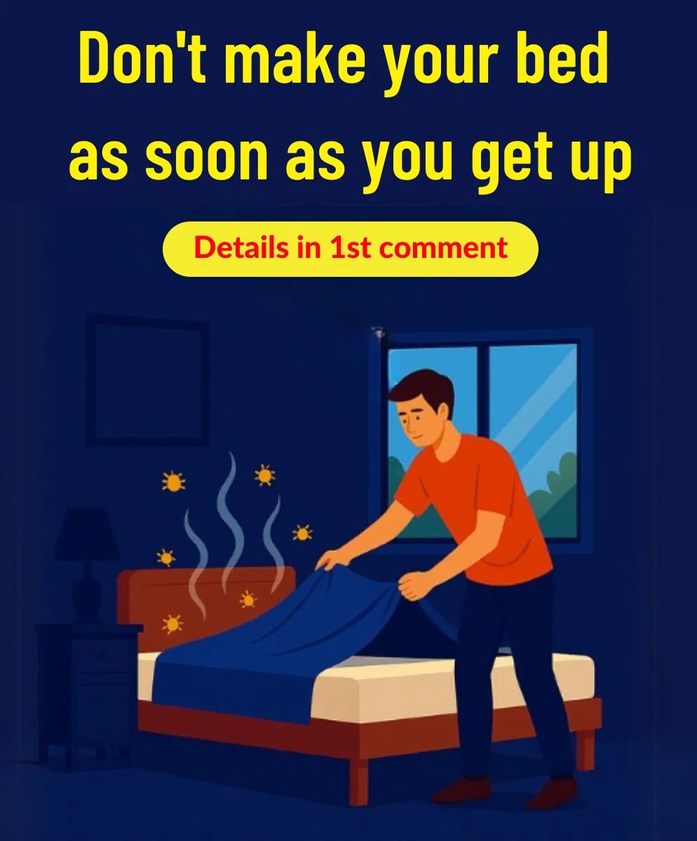 506651228 1273958444298749 5744217872730461430 n