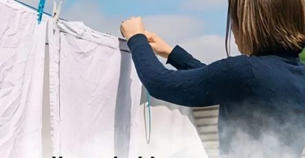 514350939 1287121762982417 6803361678070265917 n