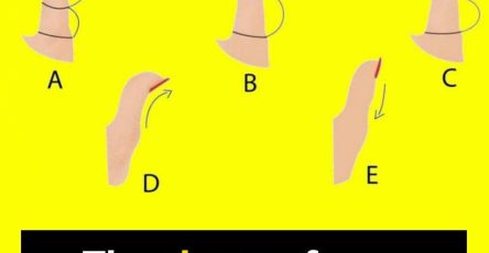 516756439 1306828244793906 5961762551154625668 n