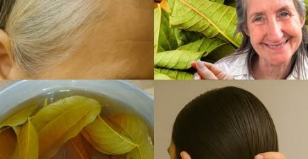 542750455 771004429231218 5857231133084300239 n