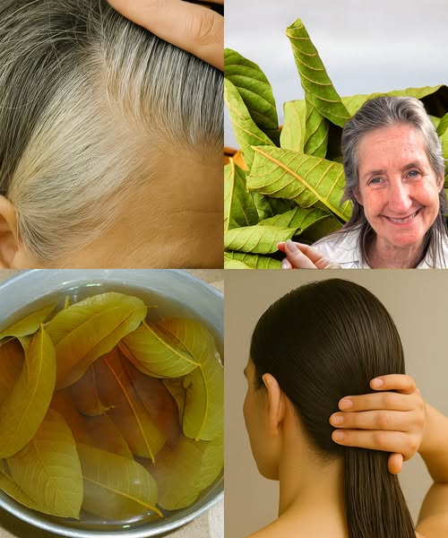 542750455 771004429231218 5857231133084300239 n