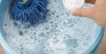 542756191 1135503732017400 7148567038900144553 n