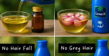 547183546 1132004092204296 3131357301679480751 n