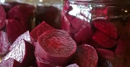 550786537 2025032474569596 6197085208500962559 n