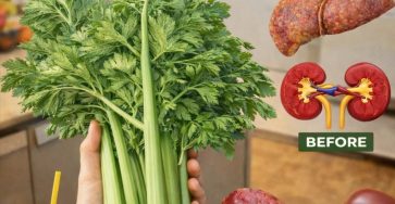 552ed98e8ac16d4195e00efa8fc83cc7