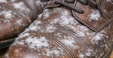 552ed98e8ac16d4195e00efa8fc83cc7