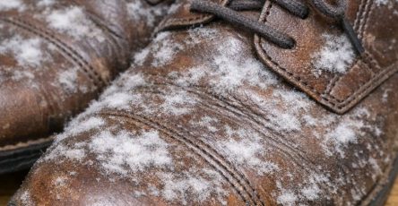 552ed98e8ac16d4195e00efa8fc83cc7