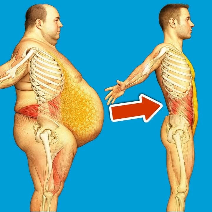 552ed98e8ac16d4195e00efa8fc83cc7