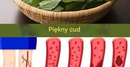 554720589 794513373511621 9113239198752002291 n