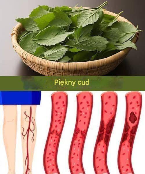 554720589 794513373511621 9113239198752002291 n