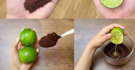 557220446 1401580078251363 8980769721723033334 n