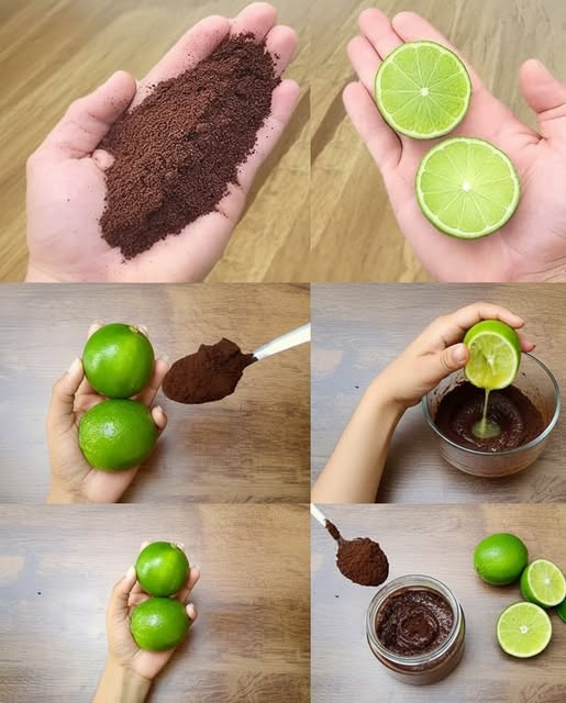 557220446 1401580078251363 8980769721723033334 n