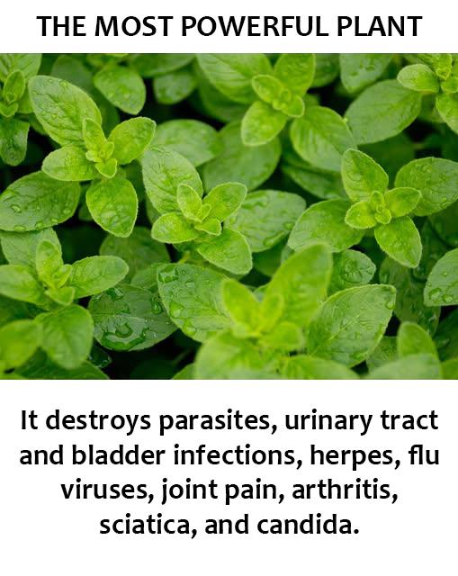 562332136 736545952736343 8060674810397211169 n