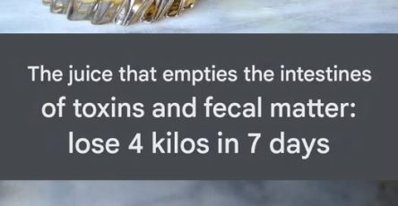 566235680 1607257243769359 7135571558673389314 n