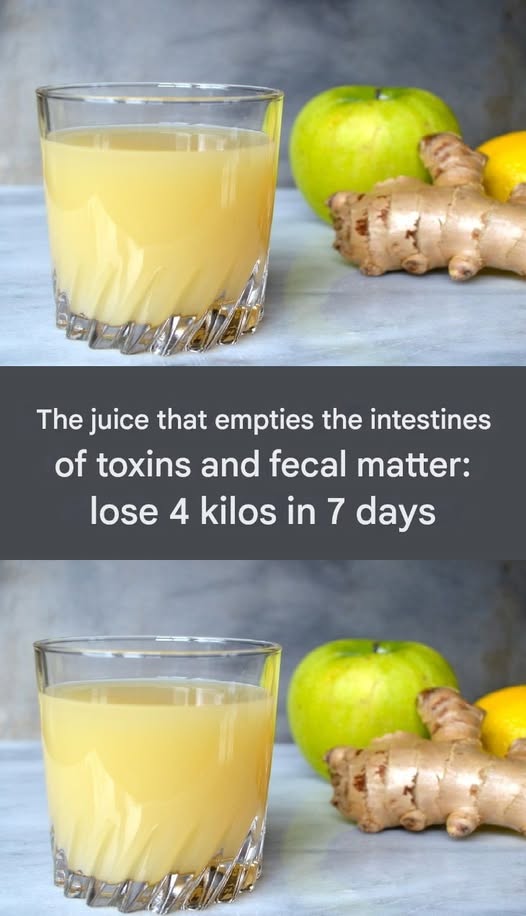 566235680 1607257243769359 7135571558673389314 n