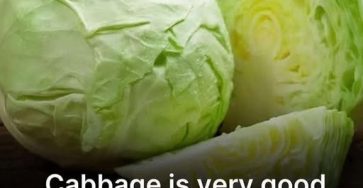 570318730 1905224367070837 8116266669517814470 n