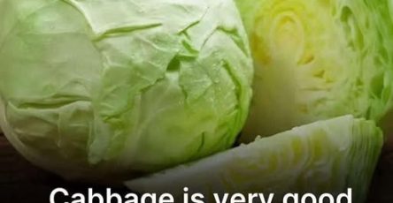 570318730 1905224367070837 8116266669517814470 n