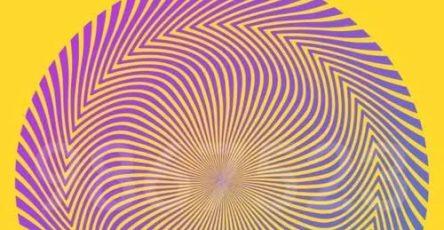 572339881 826837953217674 1411943989014318659 n