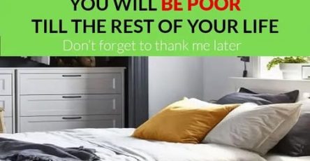 582504699 793466533560080 1852662643023217189 n