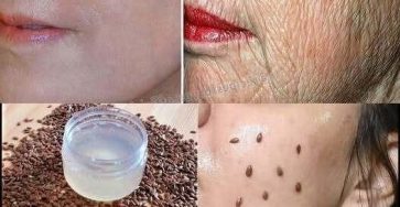 588147826 1200641251985474 1434198541915791040 n