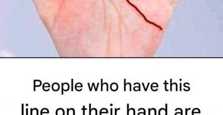 594576046 2319720451791543 8009652505164291600 n