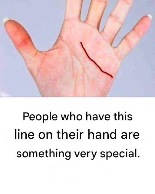 594576046 2319720451791543 8009652505164291600 n