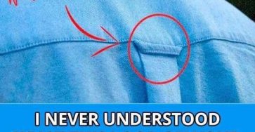 594984723 1405000357849276 4554264748881131203 n