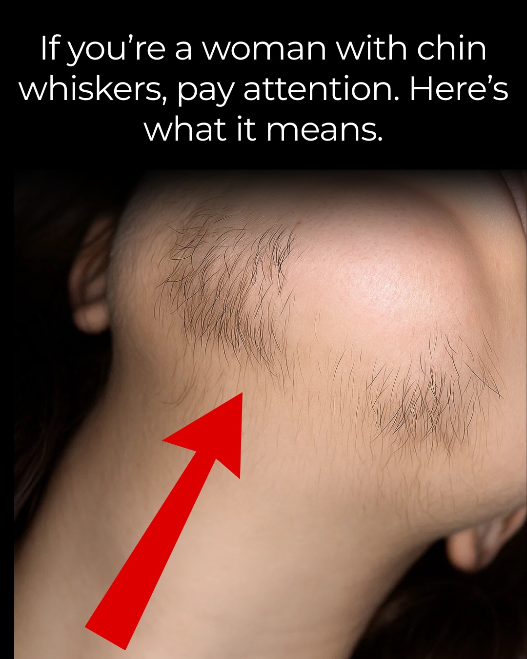 596433176 1409372700578238 8941000932039507483 n