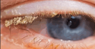 5a8d282f d438 477d b62f 4214875522de 768x960