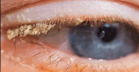 5a8d282f d438 477d b62f 4214875522de 768x960