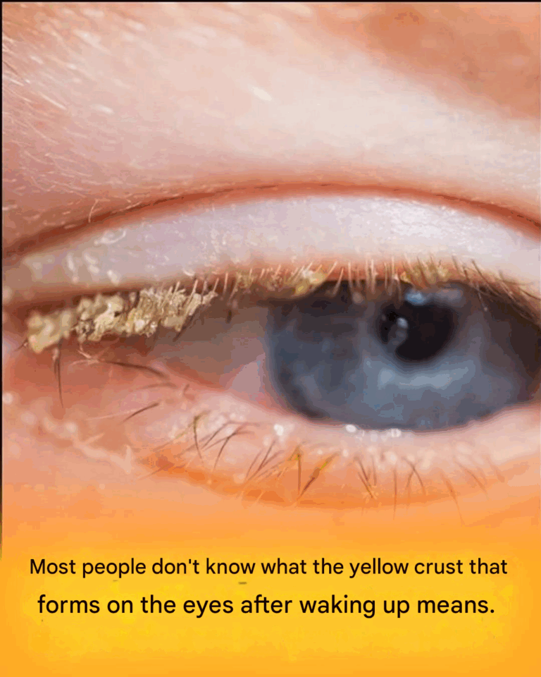 5a8d282f d438 477d b62f 4214875522de 768x960