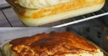 603876445 1572498640556052 2361792335221000357 n