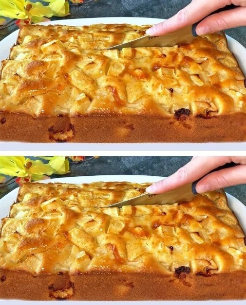 604761417 122143411046973218 5377163237270870456 n