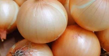 607638544 122232393092259966 4112025833829836219 n