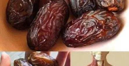 607944864 1290265326469201 3514721402276691780 n